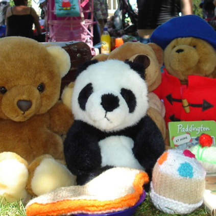 Reading Museum's Teddy Bears Picnic: Rhymetime and Craft