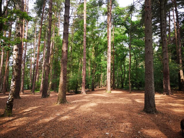 Dinton Pastures Country Park